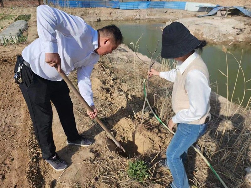“春播添新綠，不負(fù)好春光”-城建新型材料公司黨支部開展主體黨日活動(dòng)